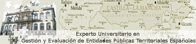 EXPERTO UNIVERSITARIO EN ORGANIZACIóN, GESTIóN Y EVALUACIóN DE ENTIDADES PúBLICAS TERRITORIALES ESPAÑOLAS